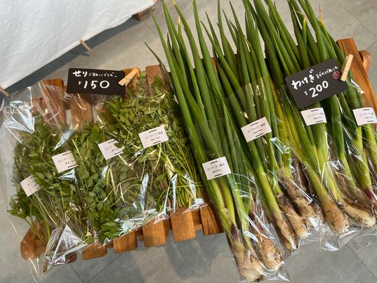 おにぎりマン農園のわけぎとセリ販売中🥬　～寝屋川　お米屋さん～